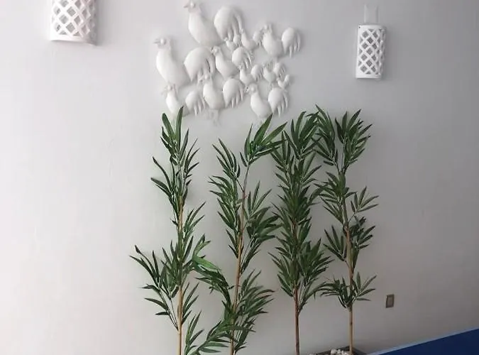 度假居 Ofir House Bonanca